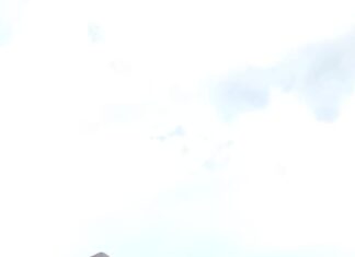 Desa Jadi Mulya: Menjaga Napas Gambut di Sumatra Selatan Suradi Ketua Kelompok Tani Sido Makmur