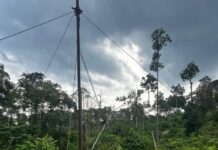 Ancaman Permen ESDM No. 14/2025 terhadap Kawasan Restorasi PT REKI