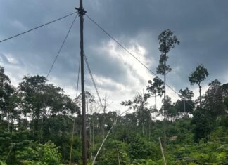 Ancaman Permen ESDM No. 14/2025 terhadap Kawasan Restorasi PT REKI