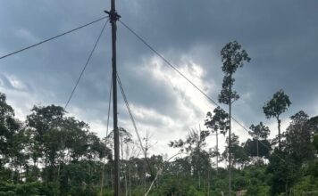 Ancaman Permen ESDM No. 14/2025 terhadap Kawasan Restorasi PT REKI