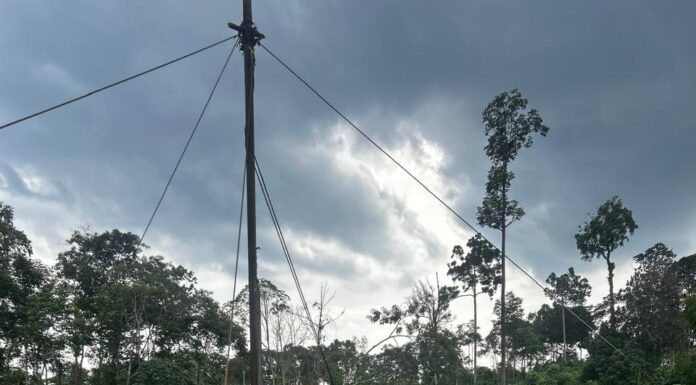 Ancaman Permen ESDM No. 14/2025 terhadap Kawasan Restorasi PT REKI