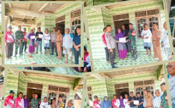 Di Balik Amukan Gajah, Tumbuh Solidaritas