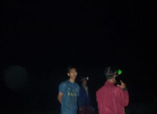 Gajah di Ambang Desa: Ketegangan Dini Hari di Srijaya Baru