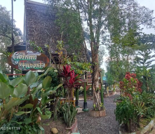 Menghidupkan Nadi Rawa Harmoni Alam di Gelam Forest Fantasi